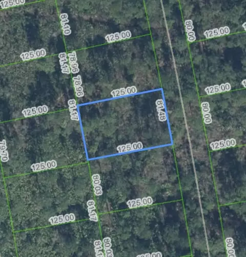 4401 Obispo Ave, Sebring, FL 33872