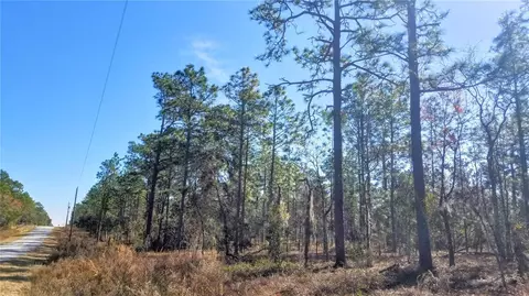 tbd NW Amberjack Ave, Dunnellon, FL 34431