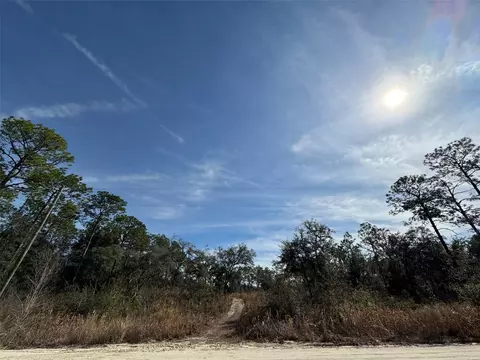 SW 175th Court, Dunnellon, FL 34432