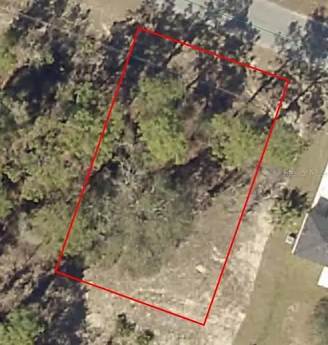Malauka Radial, Ocklawaha, FL 32179