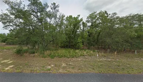 1343 W Dupont Dr, Citrus Springs, FL 34434