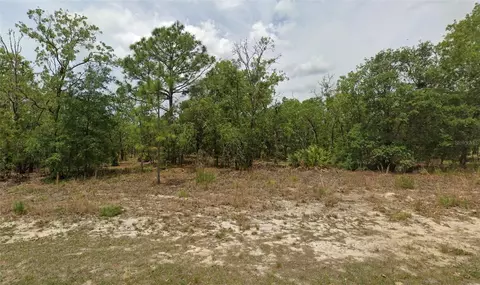 6198 N Darlington Dr, Citrus Springs, FL 34434