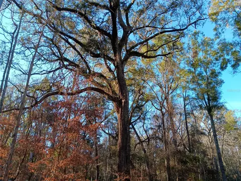 00 NE 127 St #N127S, Branford, FL 32008