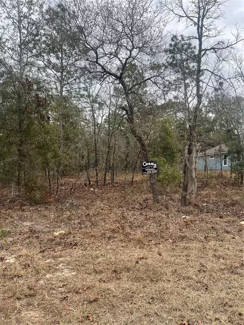 tbd NE Lot 1 Ne 154th Ave, Williston, FL 32696