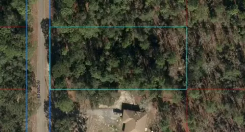 lot20 SE 124th Ct, Dunnellon, FL 34431