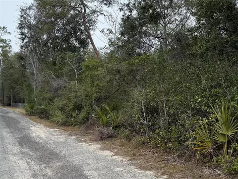 NE 191st Lane, Fort Mc Coy, FL 32134