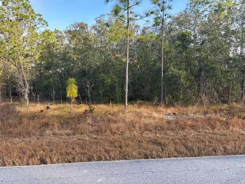 tbd SW Ancher Blvd, Dunnellon, FL 34431