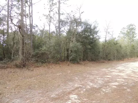 11350 NE 73rd Ln, Bronson, FL 32621