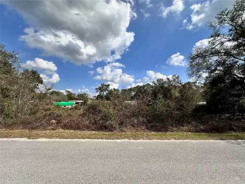 tbd SE 183rd Ter, Ocklawaha, FL 32179