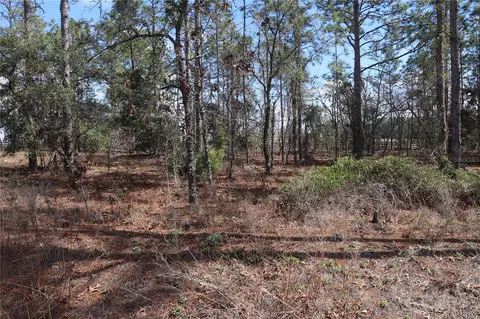 2251 NW Buena Vista Rd, Dunnellon, FL 34431
