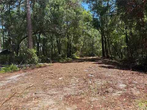 tbd NE 115 Ave, Fort Mc Coy, FL 32134