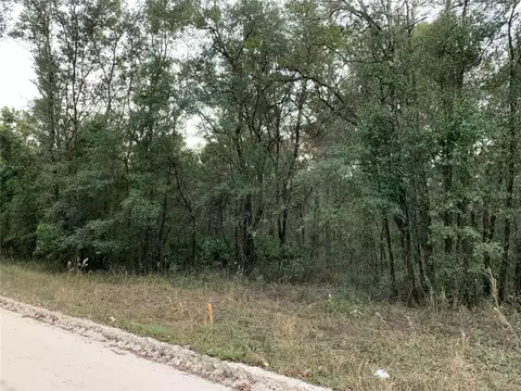 tbd NE 160th Ave, Williston, FL 32696
