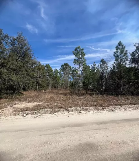 tbd SE 185 Ter, Morriston, FL 32668