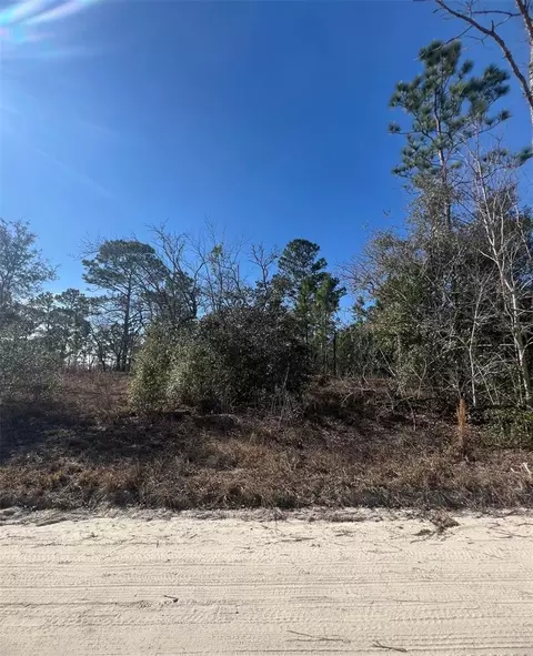 tbd SE 186 Ter, Morriston, FL 32668