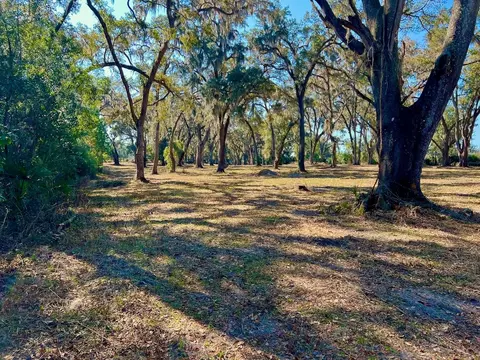 000 NW 7th St, Williston, FL 32696