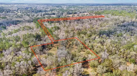 tbd NW 193rd St, Micanopy, FL 32667