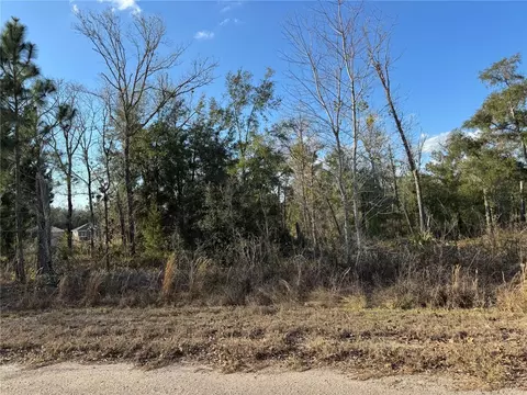 Fisher Lane Way, Ocklawaha, FL 32179