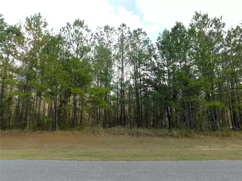 lot4 NW 145 Ave, Williston, FL 32696
