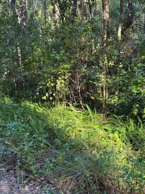 tbd SW 18th Pl, Ocala, FL 34481