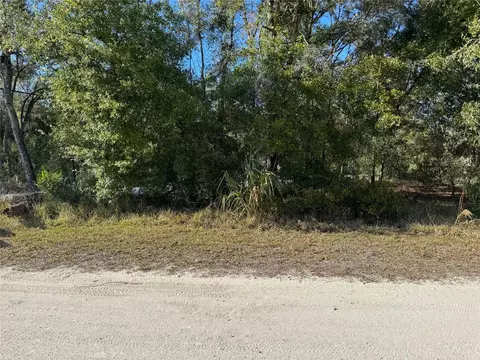 lot347 St George Dr, Dunnellon, FL 34432
