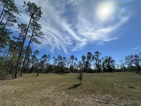 tbd NE 127th Ct, Williston, FL 32696