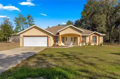 29 Guava Pass, Ocklawaha, FL 32179