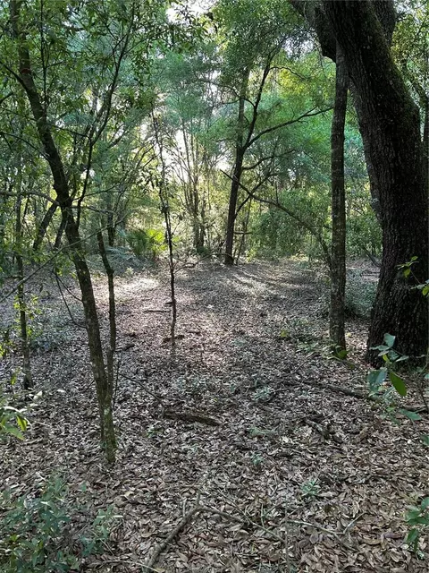Sw Hwy 484, Dunnellon, FL 34432