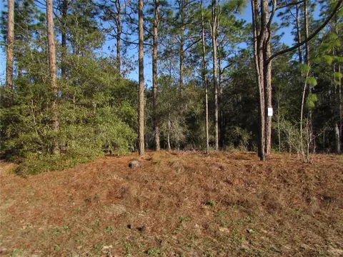 lot12 SW 68 Loop, Dunnellon, FL 34432