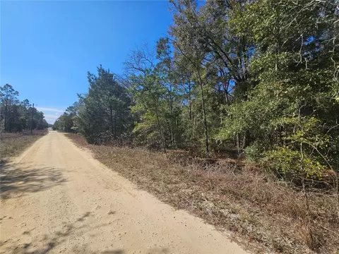 1790 NE 156th Ter, Williston, FL 32696 photo 3