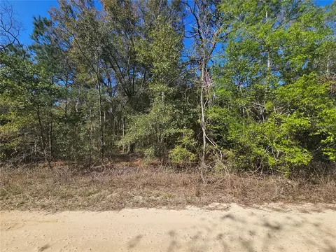 1790 NE 156th Ter, Williston, FL 32696 photo 4