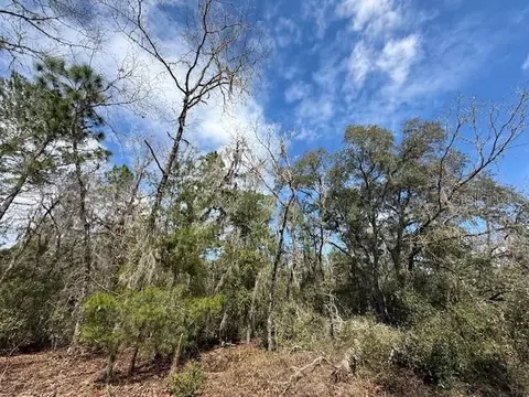 tbd SE 158th Ln, Dunnellon, FL 34432