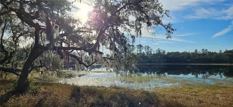 lot1 E 1005ac E Hwy 318, Citra, FL 32113