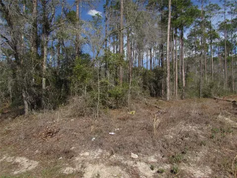 lot16 SW Westview Ave, Dunnellon, FL 34431