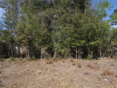 lot32 SW Robin Dr, Dunnellon, FL 34431