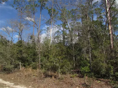 lot17 SW Westview Ave, Dunnellon, FL 34431