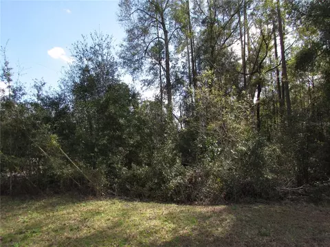 lot1 SW Marine Blvd, Dunnellon, FL 34431