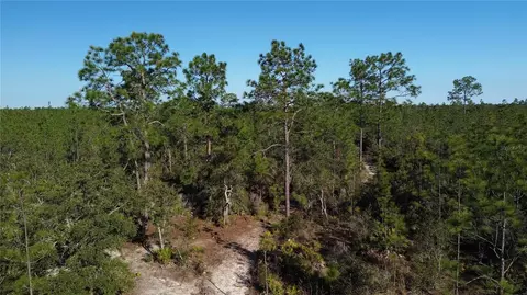 12500 NE 87th Pl, Bronson, FL 32621