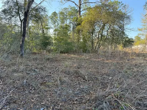00 SW 165th Ave, Ocala, FL 34481