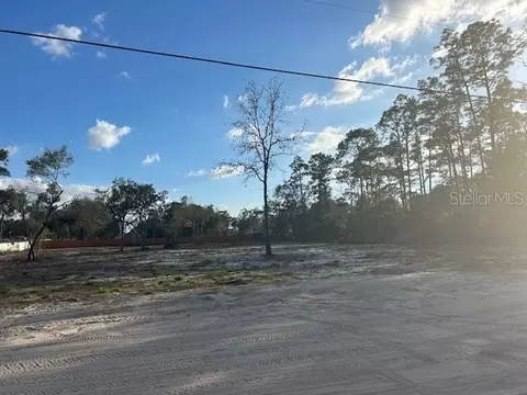 SW 155th Street, Dunnellon, FL 34432