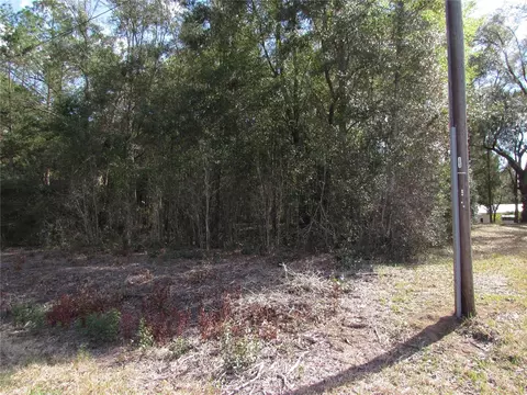 lot24 SW Starling Dr, Dunnellon, FL 34431