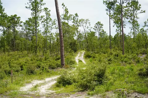 SE State Road 121 Lot A & B, Morriston, FL 32668