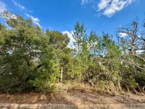 NE 159th Court, Fort Mc Coy, FL 32134