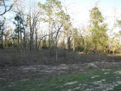 lot18 SW 62nd St, Ocala, FL 34481