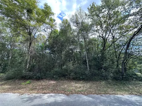 tbd NE 157th Ter, Williston, FL 32696