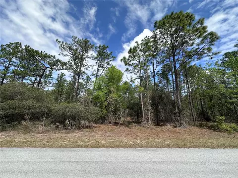 tbd SW Anchor Blvd, Dunnellon, FL 34431