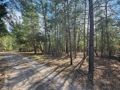 11391 SE 4th St, Williston, FL 32696