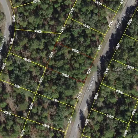 lot13 Fisher Ct, Ocklawaha, FL 32179