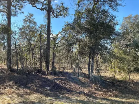 lot8 SW Viburnum Rd, Dunnellon, FL 34431