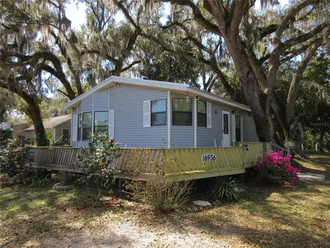 16936 SE 65th Pl, Ocklawaha, FL 32179