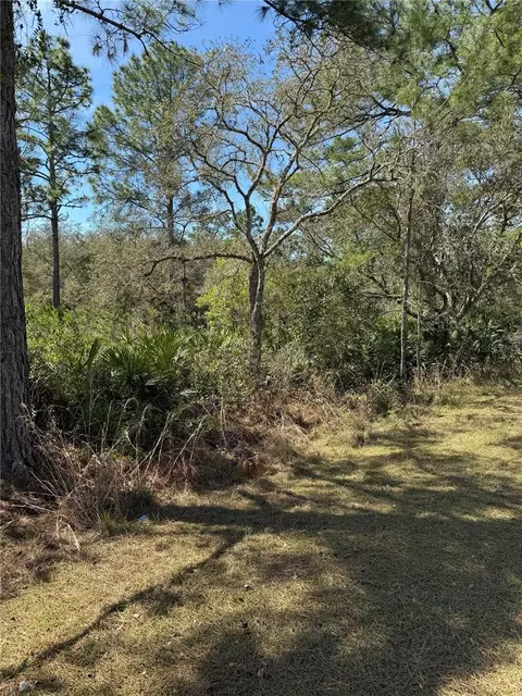 30700 Kumquat Ave, Eustis, FL 32736